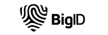 BigID
